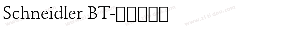 Schneidler BT字体转换
